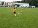 V Piknik Rodzinny