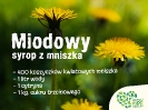 Mniszek Lekarski - Poznaj Moc Roślin - GCKiB Pielgrzymka_9
